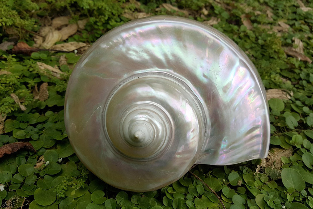 Nội thất khảm xà cừ - Nghệ thuật thủ công tỏa sáng trong từng chi tiết